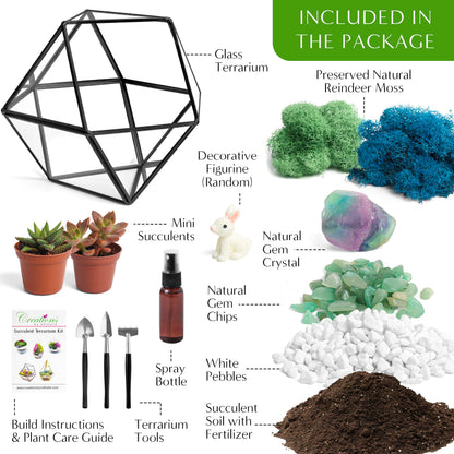 Creations by Nathalie DIY 7" Geometric Terrarium Kit - Build Your Own Glass Terrarium for Adults & Teens with Moss, Crystals, Tools & Decor - Handcrafted in the USA (Live Plant Included)