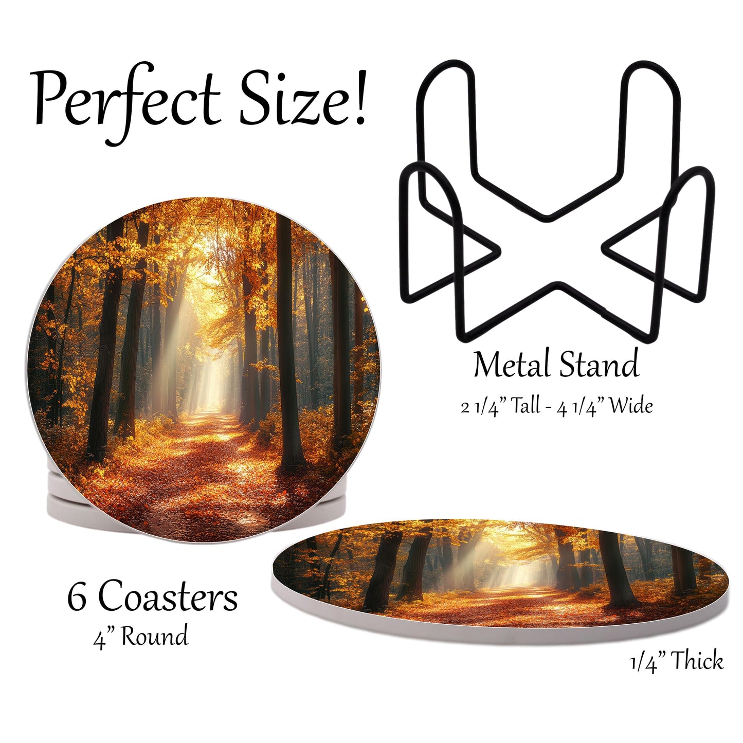 Fall Season Leaves Round Coasters Set of 6 - Abosrbent Ceramic Coasters with Metal Stand for Drinks, Coffee, Non-Slip Cork Back for Tabletop Protection, 4 Inches (Fall Path)