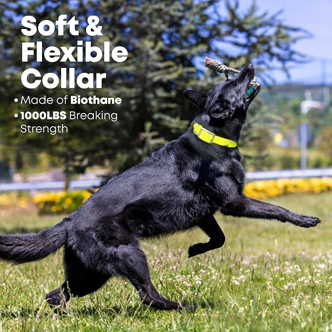 Regal Dog Products Medium Yellow Waterproof Dog Collar and Leash Set | Heavy Duty Double Buckle & D Ring - 5'ft Leash | Adjustable Biothane Dog Collar | Chew Resistant Waterproof Collar for Dogs