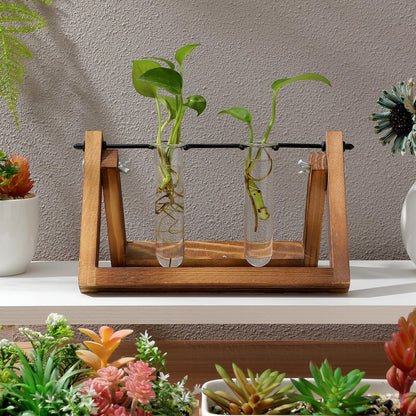 Veemoon Glass Test Tube Vase Propagation Station 5pcs 2.5x3x11cm Hydroponic Plant Terrarium Tubes for Home Decor and Office Display