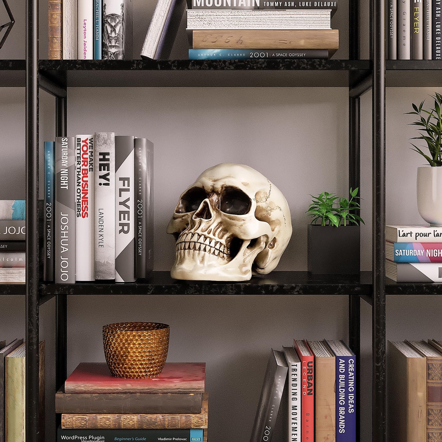 READAEER Resin Skull, Human Head Model for Home Decoration, Halloween Statue, Skull Model for Bookshelf and Desktop (White)