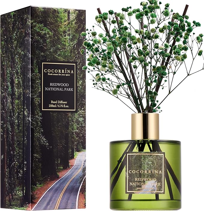 COCORRÍNA Reed Diffuser - Redwood National Park 6.7 Fl.oz Reed Diffuser Set with 8 Sticks & Preserved Baby's Breath, Reed Diffuser for Home Bathroom Shelf Decor