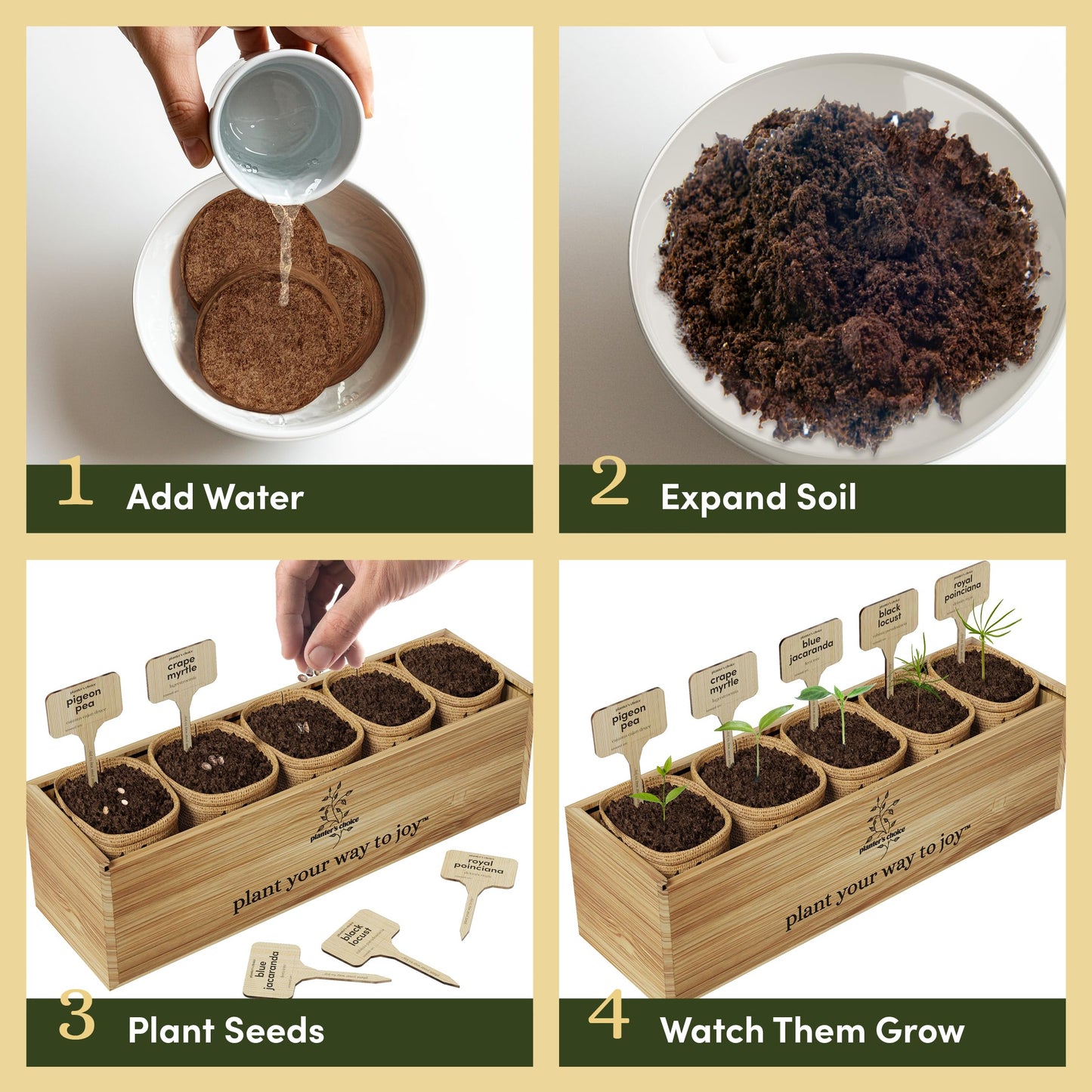 Planter's Choice Bonsai Tree Starter Kit - Birthday Gifts for Women, Men, Adults - Indoor Live House Plants - DIY Adults Craft Kits - Unique Hobby Gift Gardening Lovers - Gift Ideas Mom, Her, Friend