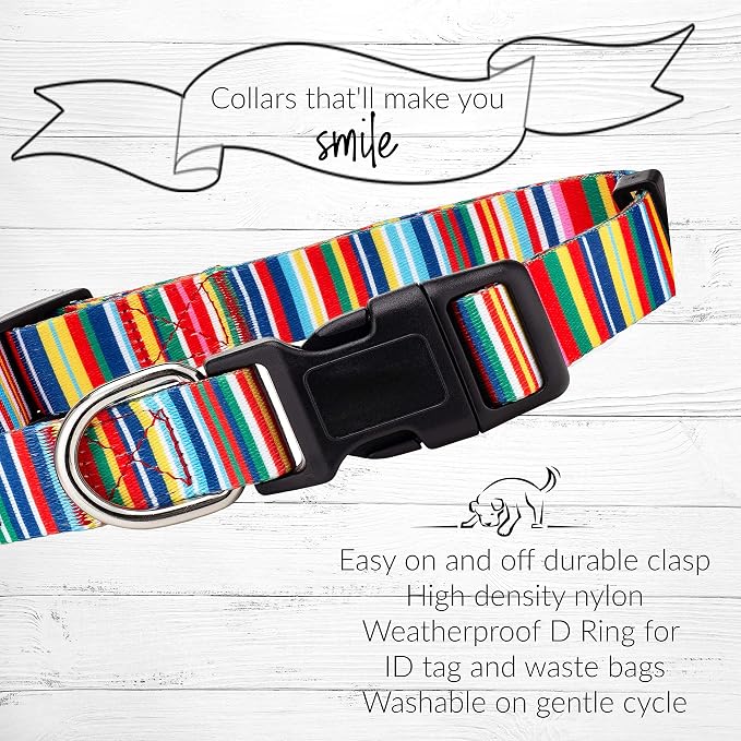 Lucky Love Dog - Easy Click Buckle Dog Collar with Leash Set Combo, Durable & Comfortable for Male & Female Dogs, Pet Collar for Medium Dogs, Secure Fit - Hippie Combo, Medium