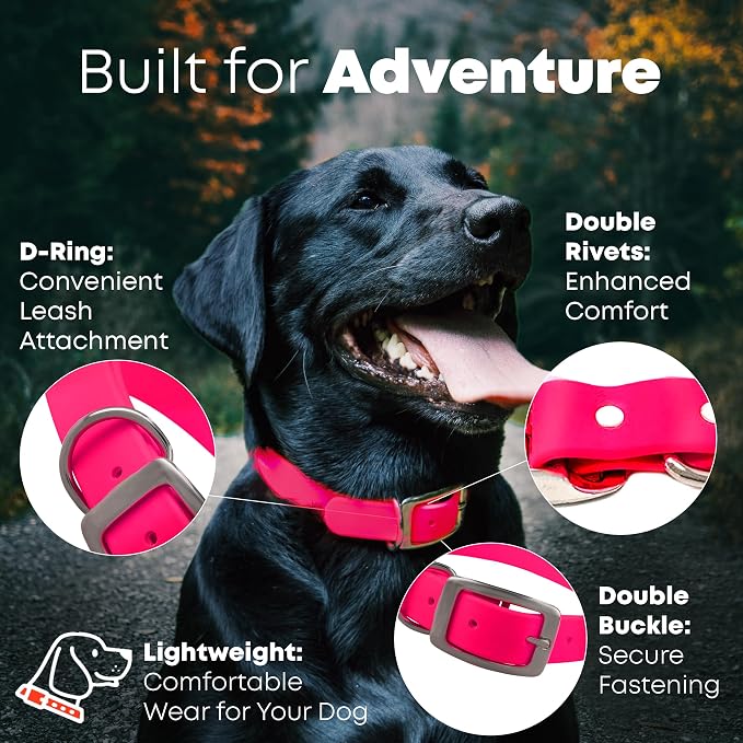 Regal Dog Products Large Pink Waterproof Biothane Dog Collar and Leash Set | Heavy Duty Double Buckle & D Ring - 5'ft Leash | Adjustable, Chew Resistant Collar for Dogs