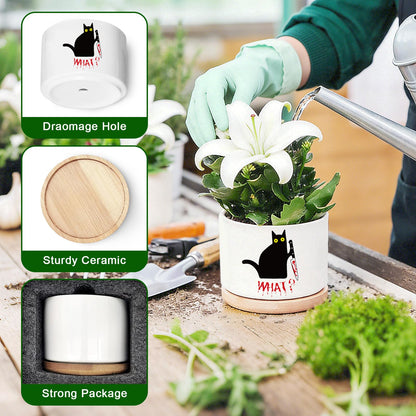 Funny Hello Black Cat Ceramic Plant Pot for Succulent, Cute Cat Cactus Flower Planter for Windowsill Indoor Decor, Home Office Decoration for Plant Lovers Friends Owner Lover (No Plants) (What)