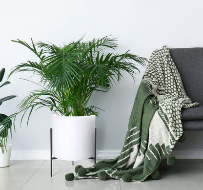 D'vine Dev Modern White Plant Pot Cylinder Planter with Heavy Duty Stand, XX-Large 16 Inch Pot, 22.8 Inch with Stand Height, 96-T-A-5
