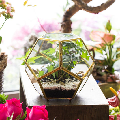 NCYP Glass Geometric Terrarium Planter with Door and Foot, Pentagon Ball Shape Glass Terrarium for Fern, Succulents, Small Plants, Gold, 6.8 x 6.8 x 5.9 inches (No Plants)