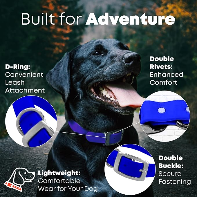 Regal Dog Products Medium Blue Waterproof Dog Collar and Leash Set | Heavy Duty Double Buckle & D Ring - 5'ft Leash | Adjustable Biothane Dog Collar | Chew Resistant Waterproof Collar for Dogs
