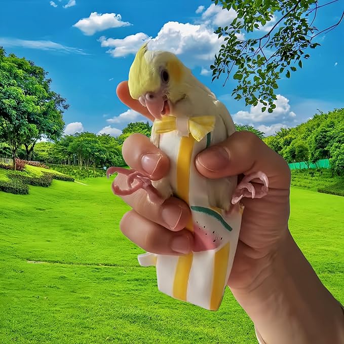 2Pcs Bird Diapers Bird Harness Flight Suits Diapers with 80 Inch Flying Leash Parrot Nappy Washable Cute Urine Wet Suit for Cockatiel Conure Macaw Budgies Parakeet-Pineapple&Watermelon,S