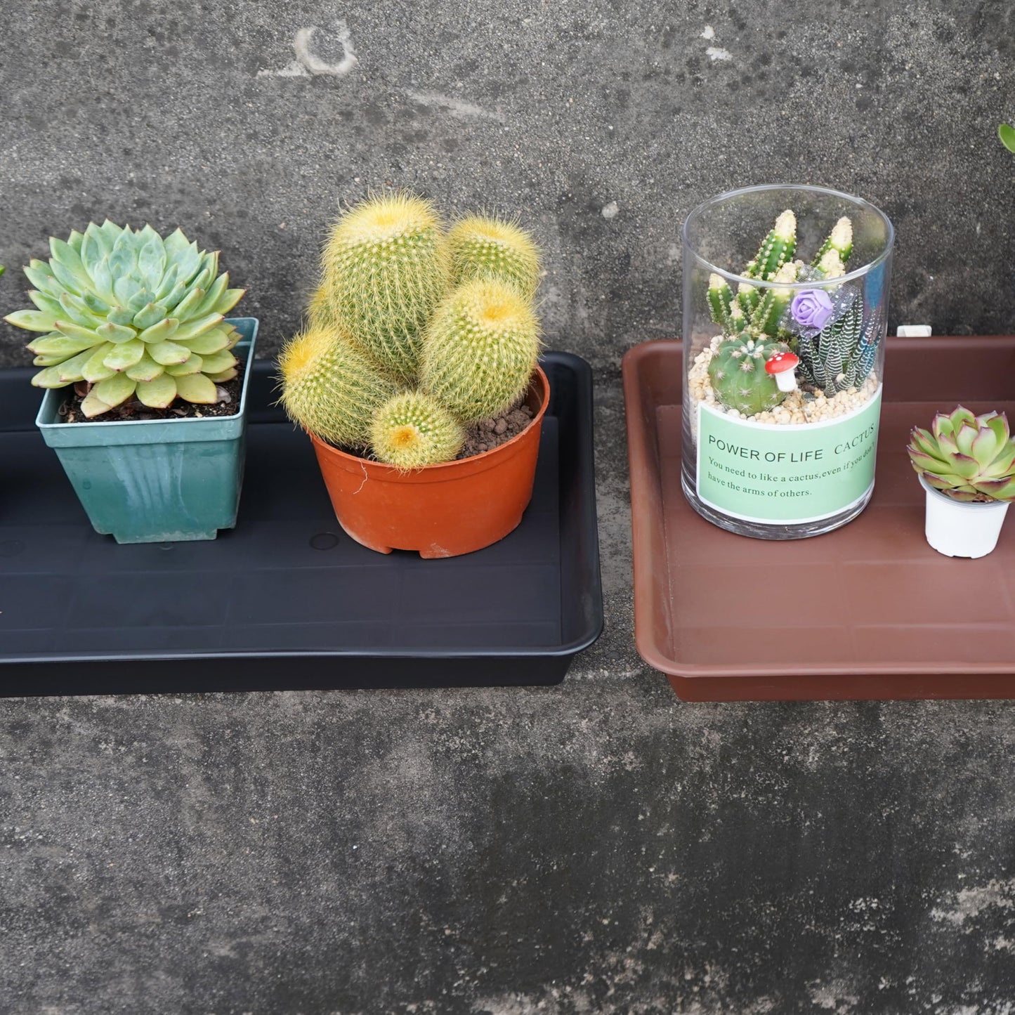 VUWEZ 2 Pack Plant Saucer Tray Rectangular, Plant Growing Nursery Trays, Heavy Sturdy Seed Starting Trays, Plants Starter Saucers for Indoors No Holes, Seed Starter Growing Tray (17.5"x10.6", Black)