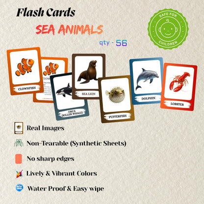 The Biblio Hub Sea Animals Flashcards – Non-Tearable Synthetic Learning Cards for Toddlers, Preschool & Kindergarten, Double-Sided Set