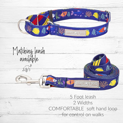 Lucky Love Dog Martingale Collar, Blue Color No Slip Collars for Small Dogs, Tropical Fish Pattern Martingale Dog Collar, Great for Whippets, Greyhounds, and More (Mackey, Small)