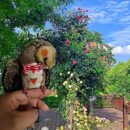 2Pcs Bird Diapers Bird Harness Flight Suits Diapers with 2Pcs 80 Inch Flying Leash Parrot Nappy Pigeon Pants Urine Wet Suit for Cockatiel Conure Macaw Budgies Parakeet-Watermelon&Orange