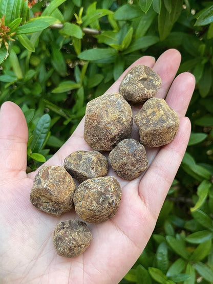 GAF TREASURES Wholesale Raw Garnet Crystals, Natural Garnet Stone, Natural Rough Garnet Crystals, Garnet Rough, Garnet Healing Crystals (Garnet, 0.5 Pound)
