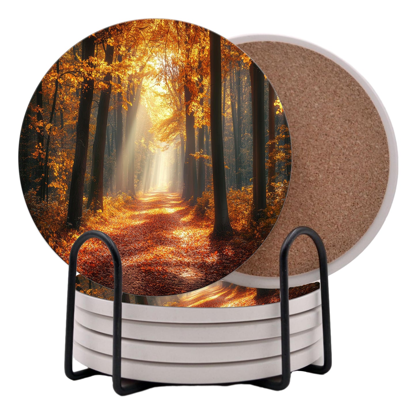 Fall Season Leaves Round Coasters Set of 6 - Abosrbent Ceramic Coasters with Metal Stand for Drinks, Coffee, Non-Slip Cork Back for Tabletop Protection, 4 Inches (Fall Path)
