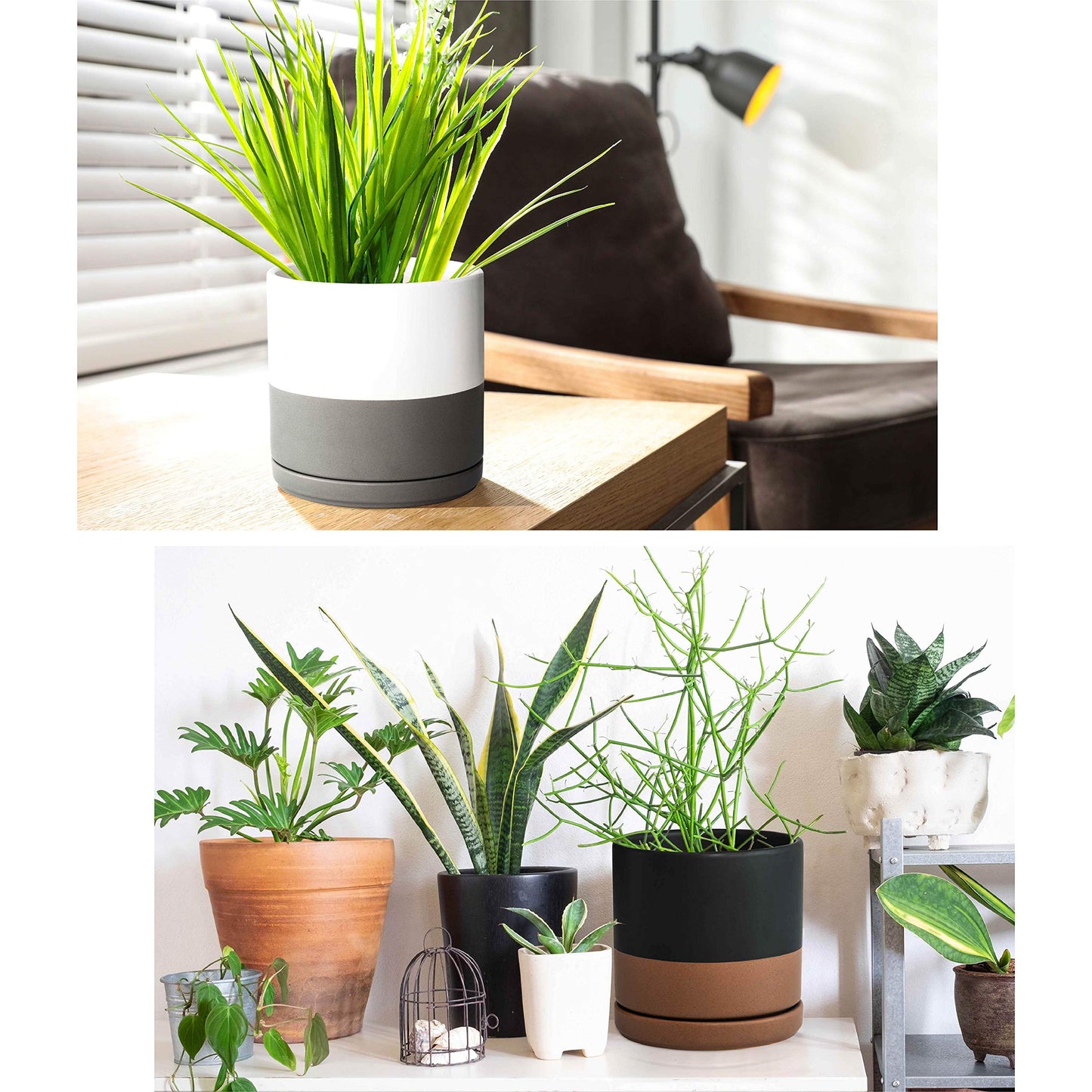 D'vine Dev Set of 2 Plants Pots, 6 Inch Ceramic Planter Pot for Plants with Drainage Hole and Saucer, White-Grey/Black-Tan, 94-V-C-C