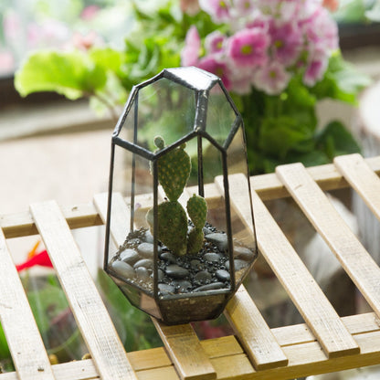 NCYP Small No Door Geometric Terrarium - 4.1" x 3.5" x 5.9" Miniature Irregular Glass Terrarium Planter for Mini Succulent Air Plants - Tabletop Garden Container, Black (No Plants)