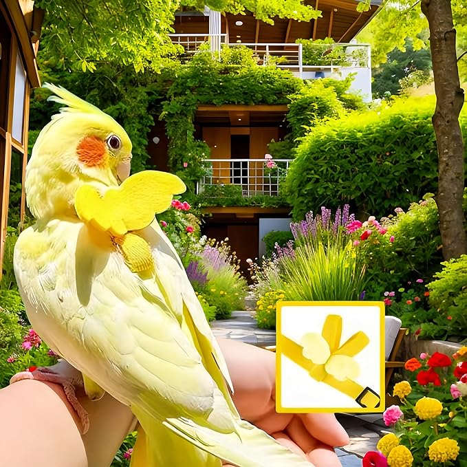 3 Sets Pet Parrot Bird Harness and Leash with Cute Wing, Adjustable Bird Flying Harness Straps Outdoor Training Traction Rope for Parrots Pigeons Lovebird Cockatiel(S,Pink, Yellow&Purple)