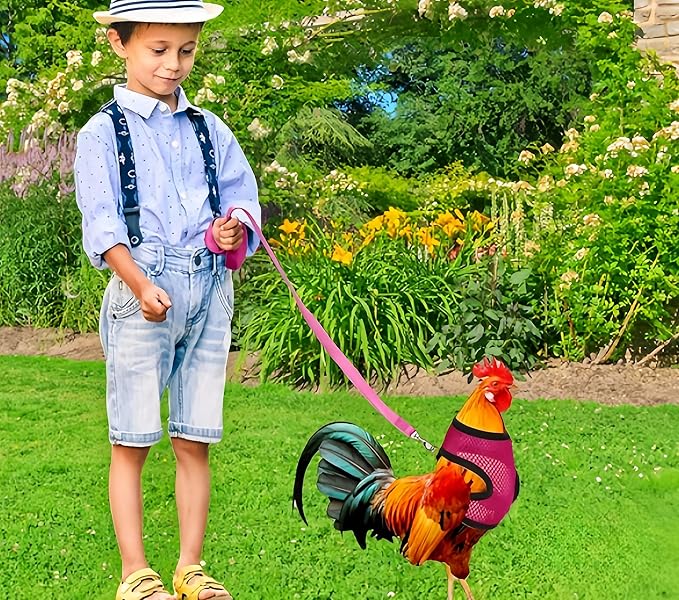 3 Pack Chicken Harness and Leash Set Adjustable Hen Vest with Matching Belt Breathable Mesh Training Harness Pets Leash for Hens Duck Goose Small Pet-Black&Red&Pink,M