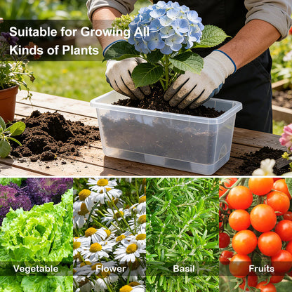 Oliz Window Box Planter 6 Packs, 13.8 Inches Rectangle Flower Pots with Drainage Holes & Trays, Pots for Vegetables, Herbs, Flowers, Garden Windowsill Balcony (Translucent White)