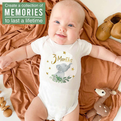 Hadley Designs 20 Monthly Baby Milestone Stickers-Elephant Baby Monthly Milestone Stickers, Newborn, Photo Props