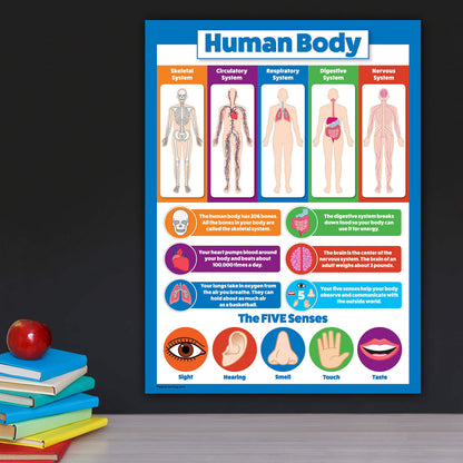 Palace Learning 2 Pack - Solar System Poster for Kids & Understanding the Human Body Chart (LAMINATED, 18" x 24")