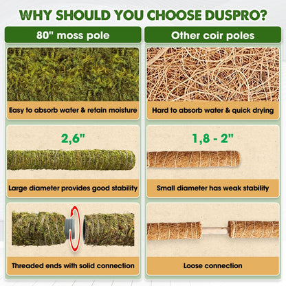 DUSPRO 80 Inches Large Moss Pole for Plants Monstera, Plant Stakes for Indoor Plants, Monstera Plant Support, Plant Support/Plant Pole for Big Climbing Plants Indoor (1pc., 80'')