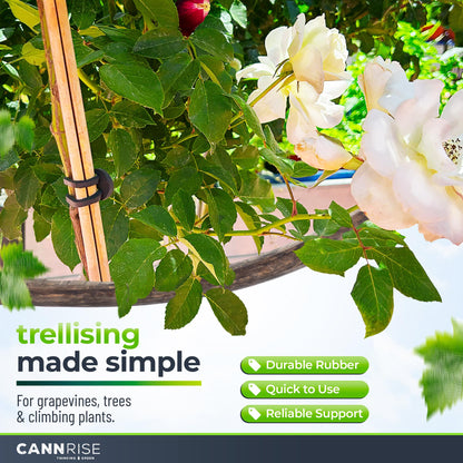 Anchor Bands for Trellising – 70-Pack 8 cm/3.14 in Rubber Vine Ties, UV-Protected Bands: Grapevines, Trees & Climbing Plants – Tool-Free Loop-and-Anchor Design for Install, Weatherproof