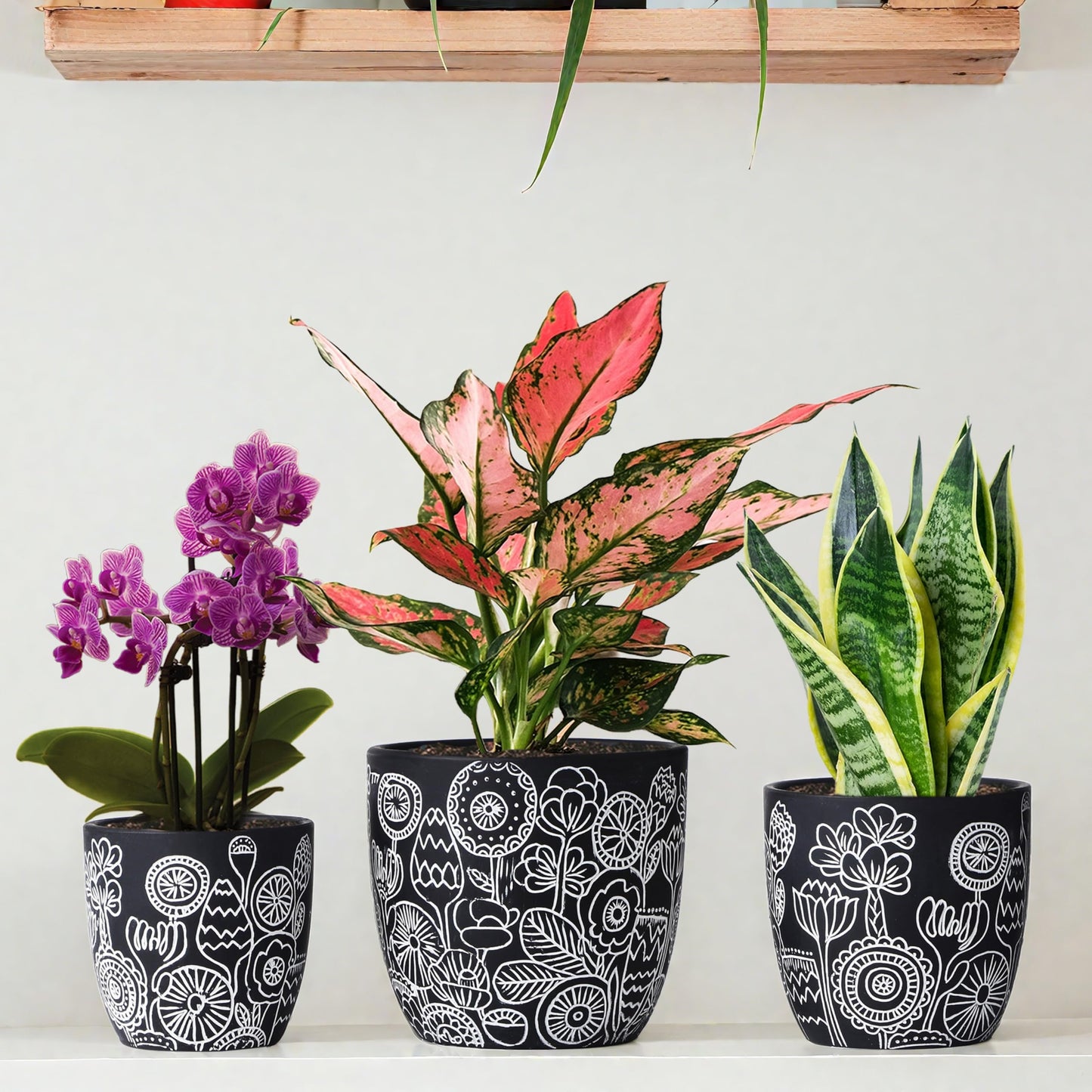 FUYHE Terracotta Pots, 6.5+5+4.4 Inch Plant Pots with Drainage Hole- Floral Pattern, Black Boho Ceramic Planters for Indoor Plants, Flower Pots Indoor Succulents, Herbs Plants,Set of 3