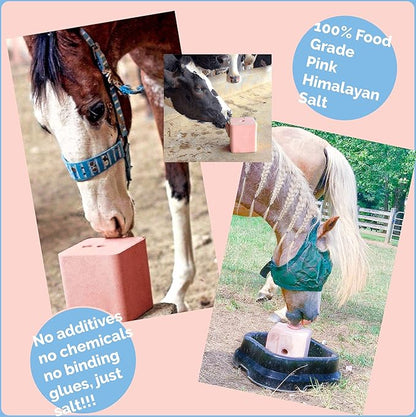 Salt Block for Deer & Horses – Compressed Mineral Salt Lick for Livestock, Cattle & Goats – Himalayan Secrets Pink Rock Salt Block (8.8LB/4KG, Block)