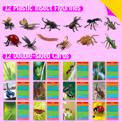 12 PCS Plastic Insect Figurines with 12 Introduction Flashcards, Small Creature Learning Recognition Cards Realistic Bug Models Educational Learning Toy Set for Kids, Classroom