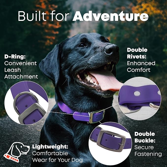 Regal Dog Products Large Purple Waterproof Dog Collar and Leash Set | Heavy Duty Double Buckle & D Ring - 5'ft Leash | Adjustable Biothane Dog Collar | Chew Resistant Waterproof Collar for Dogs