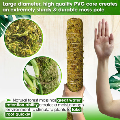 DUSPRO 80 Inches Large Moss Pole for Plants Monstera, Plant Stakes for Indoor Plants, Monstera Plant Support, Plant Support/Plant Pole for Big Climbing Plants Indoor (1pc., 80'')