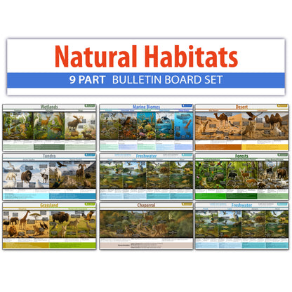 Earths Habitats ecosystem Line bulletin board set, 9 charts pack Glossy Paper (9"x18") Young N Refined