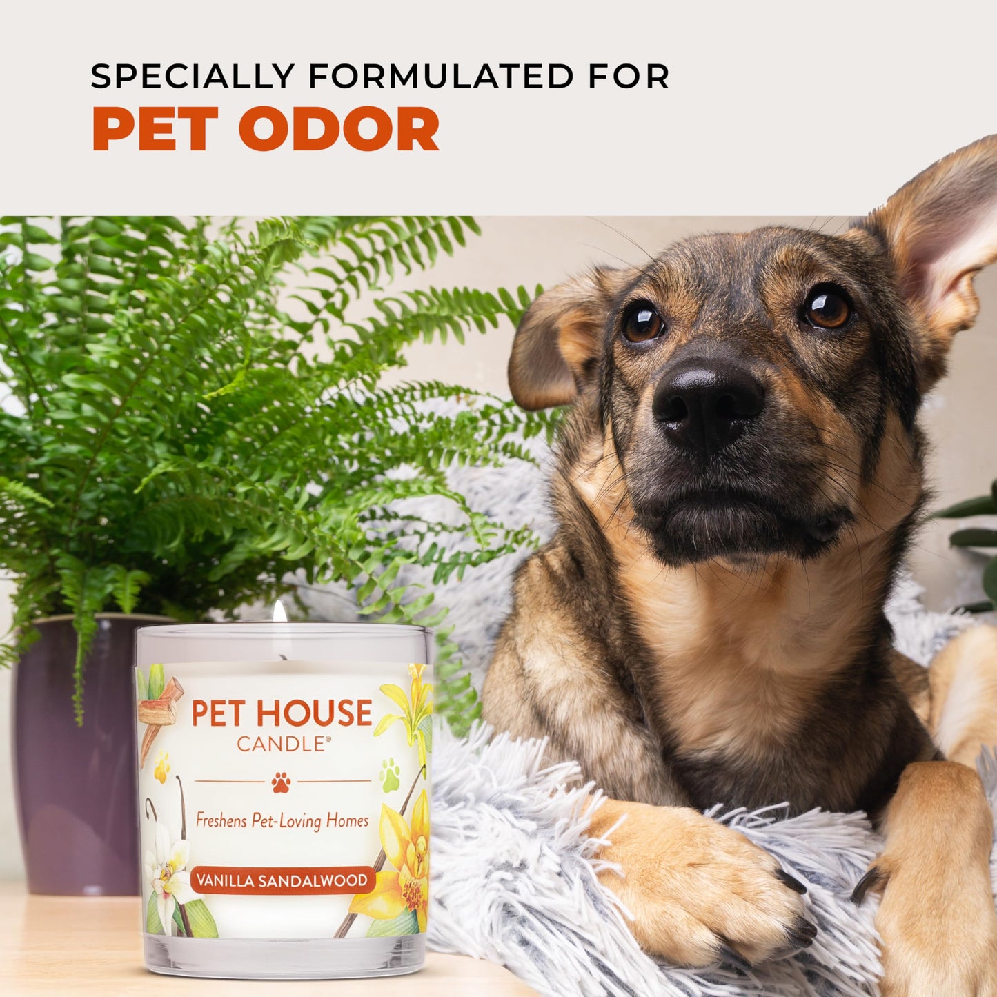 One Fur All Pet House Fall Candles, Long Lasting, Clean Burning, Soy Wax Scented Candles for Pet Odor, Apple Cider