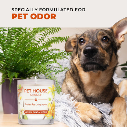One Fur All Pet House Fall Candles, Long Lasting, Clean Burning, Soy Wax Scented Candles for Pet Odor, Apple Cider