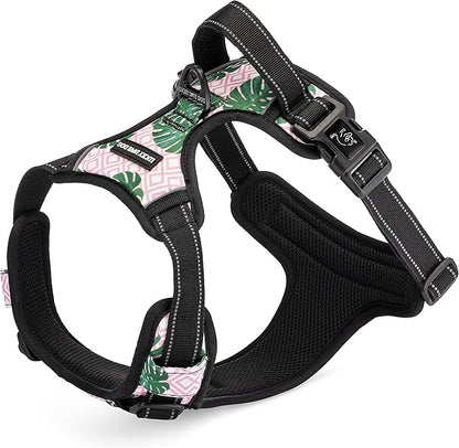 Lucky Love Dog No Pull Dog Harness, Adjustable and Easy to Walk, Cute Patterned Harness for Medium Male & Female Dogs - Laguna, Medium