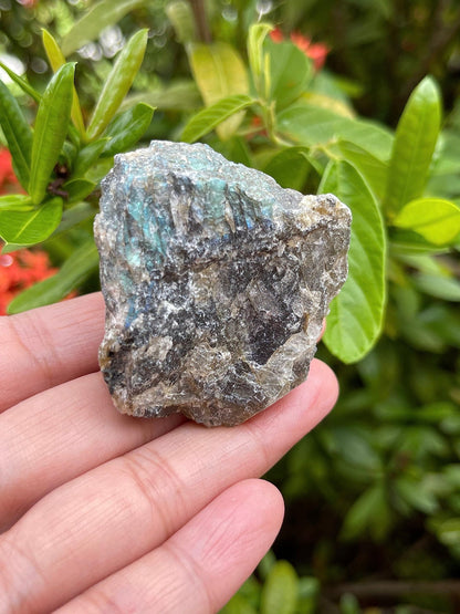 GAF TREASURES Wholesale Raw Labradorite Crystals, Natural Labradorite Stone, Natural Rough Labradorite Crystals, Labradorite Rough, Labradorite Healing Crystals (Labradorite, 0.5 Pound)