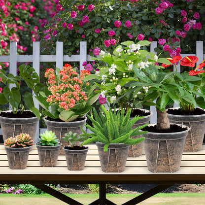 AUGXIXI 10 Sets Transparent Plastic Garden Pots Planter with Saucer 3.9/4.7/5.5/5.9/6.3 inch Plant Pot Nursery Pots Drainage Hole for House Plants, Herb, Flowers, and Cactus with 20pcs Plant Labels