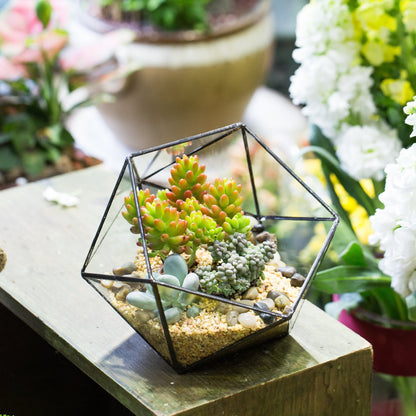 NCYP Opened Geometric Glass Terrarium, 6.69" Bowl Shape Planter for Succulent Plant Cacti, Indoor Balcony Irregular Decor, Garden Miniature Pot, Tabletop Centerpiece (No Plants)