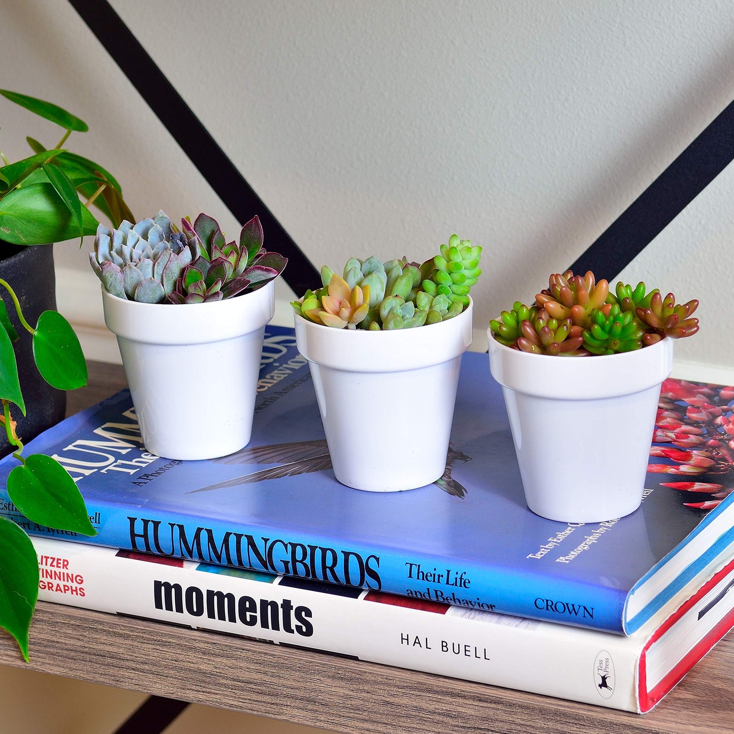 Youngever 10 Pack 3 Inch Mini Plastic Planters Indoor Flower Plant Pots, White Gardening Pot with Drainage for All House Plants, Flowers, Herbs, Succulents, NO Plant Included (Classic)