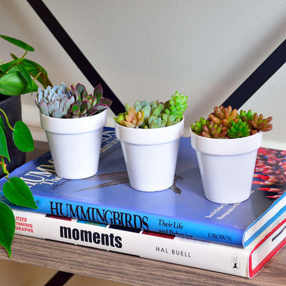 Youngever 10 Pack 3 Inch Mini Plastic Planters Indoor Flower Plant Pots, White Gardening Pot with Drainage for All House Plants, Flowers, Herbs, Succulents, NO Plant Included (Classic)