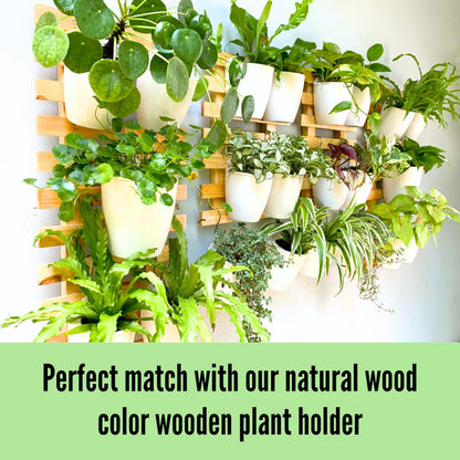LaLaGreen Bundle- 10 Pack, 5 Inch Self Watering Plastic Pot + 2 Pack, 15.7 Inch Rustic Wooden Plant Holder Wall Mount Vertical Live Eco Garden System Trendy Herb Orchid Airplant Hanging Frame Display