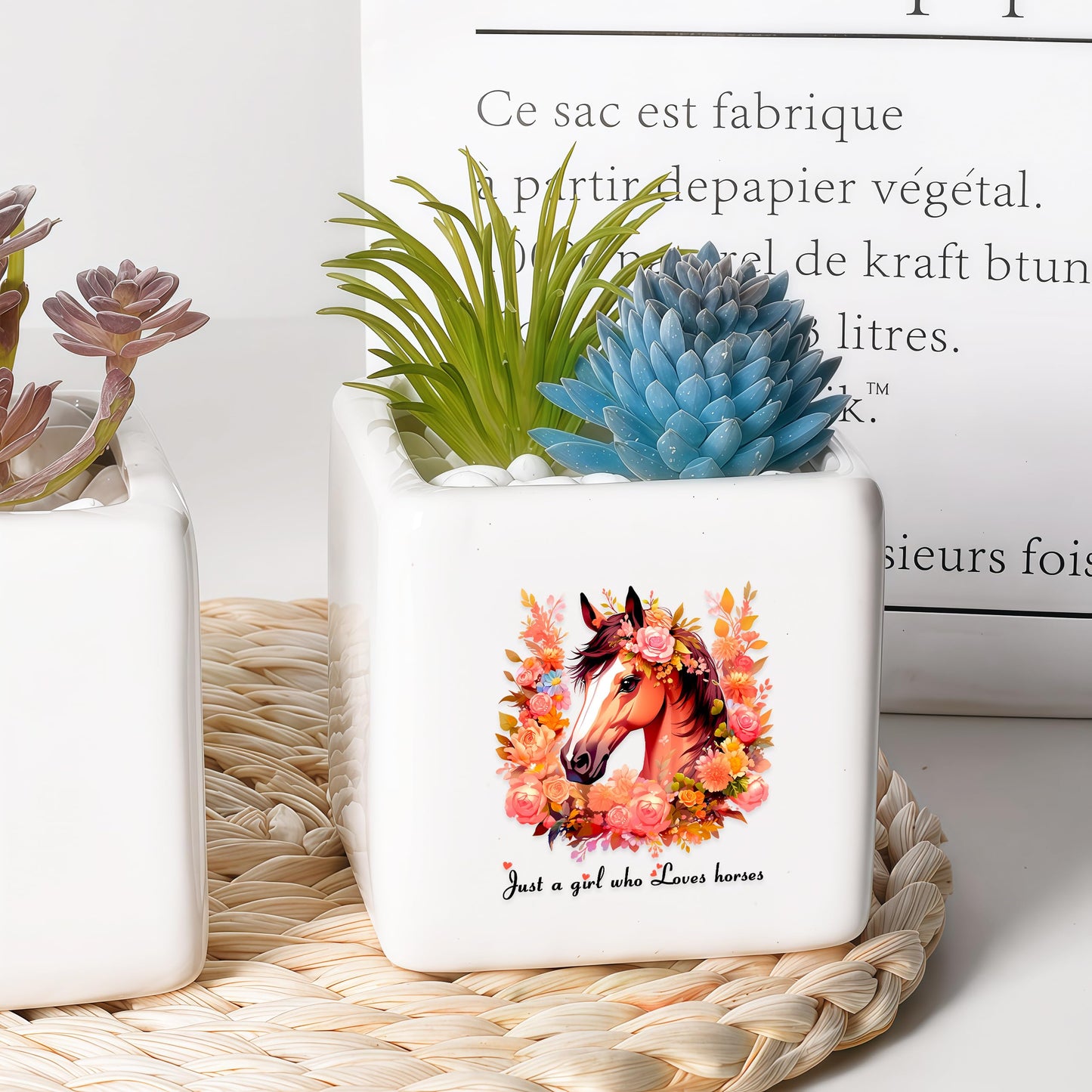BJDAMAI Horse Succulent Planter Flower Plant Pot Small, Gifts for Women Teens Girls Kids, Horse Lovers Themed Stuff Accessories Things Decor Merch, Home Office Table Desk Decoration!