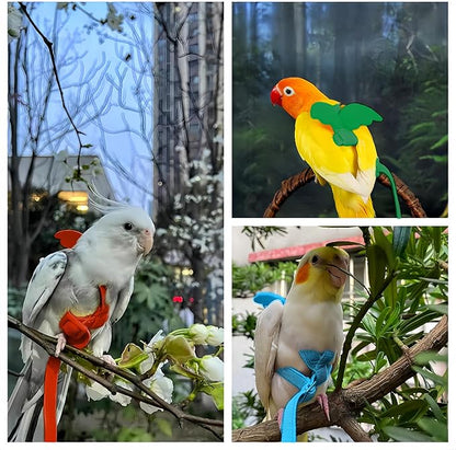 3 Sets Pet Parrot Bird Harness and Leash with Cute Wing, Adjustable Bird Flying Harness Straps Outdoor Training Traction Rope for Parrots Pigeons Lovebird Cockatiel(L,Red,Green&Blue)