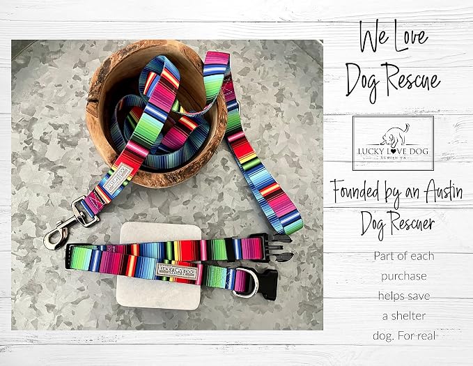 Lucky Love Dog - Adjustable Dog Collar with Easy Click Buckle for Small Dogs, Durable, & Comfortable for Male & Female Dogs, Pet Collar for Puppies & Adult Ones - Nacho, Small
