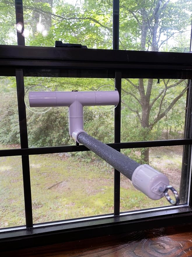Polly's Portable Window-Shower Perch with Suction Cups for Cockatiels, Macaws, African Greys (Deluxe, Small)