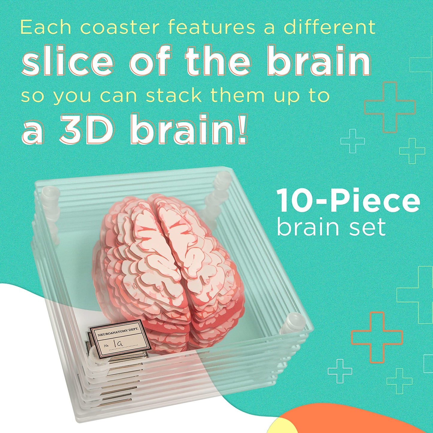 ThinkGeek Anatomic Brain Specimen Coasters Set of 10 for Neuroscience Medical Student Gifts Human Anatomy Generix geek