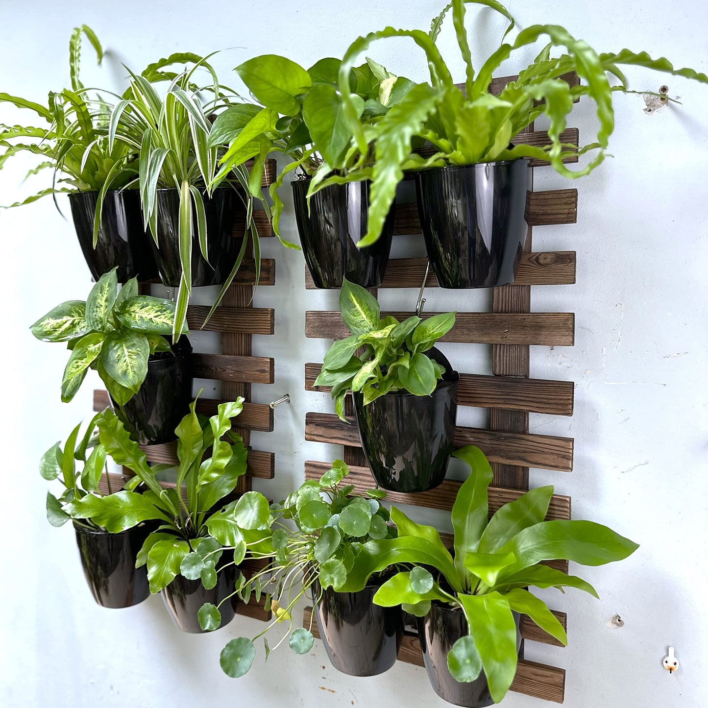 LalaGreen Bundle - 5" Pot + 35.4" Wooden Plant Holder, Black Self Watering Pot, Wooden Hanging Planters for Indoor Plants, Wall Mounted Plant Stand Ladder Outdoor Vertical Garden, Wall Hanging Pots